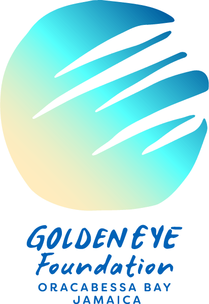 golden eye foundation logo